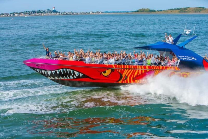 Boston: City Cruises Harbor Codzilla High Speed Thrill Boat - The Experience in Detail