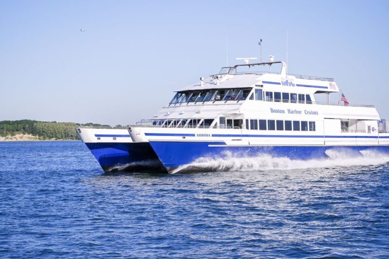Boston: City Cruises Whale Watching Cruise - An In-Depth Look at the Boston Whale Watching Experience