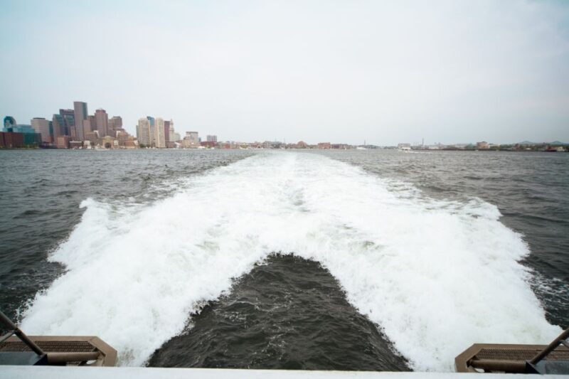 Boston: City Cruises Whale Watching Cruise - FAQ