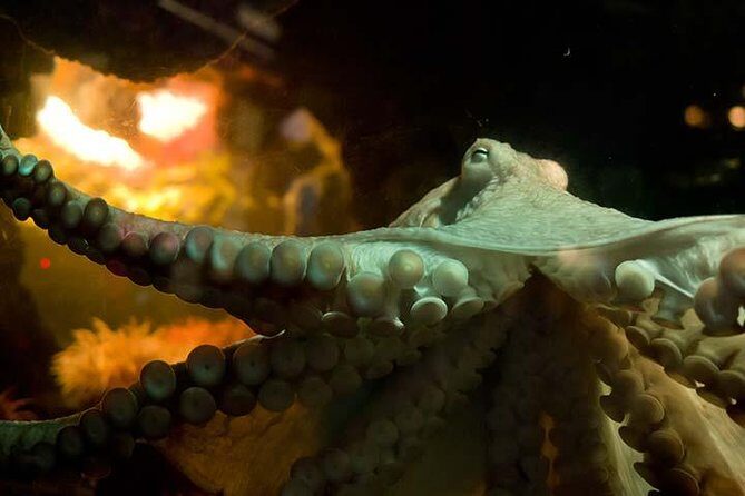 Boston CityPASS® - What’s Included and What’s Not