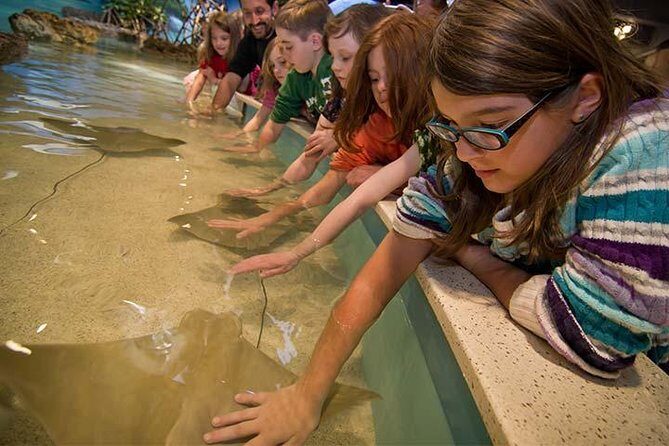 Boston CityPASS® - Who Will Love This Tour?