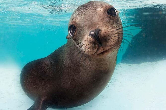 Boston CityPASS® - FAQ