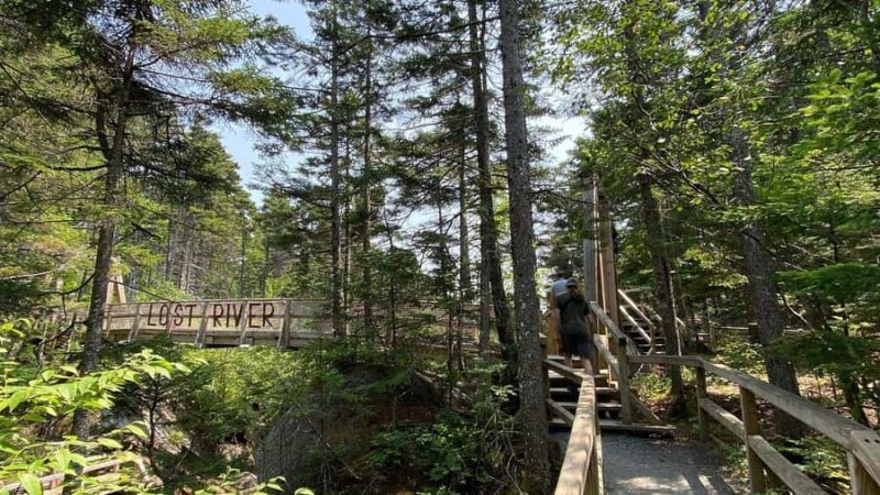 Boston Fall Day Trip to White Mountains, Lost River Gorge - Who Should Consider This Tour?