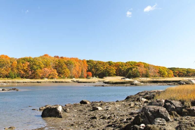 Boston Harbor: Fall Luncheon Cruise - Who Should Consider This Experience?