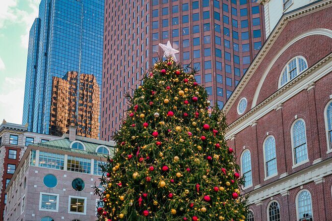 Boston Holiday Donut Adventure by Underground Donut Tour - Practicalities and What to Expect