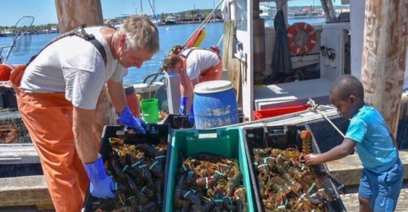 Boston: Kennebunkport Day Trip with Optional Lobster Tour - Exploring Maine’s Coast: The Boston to Kennebunkport Day Trip with an Optional Lobster Tour