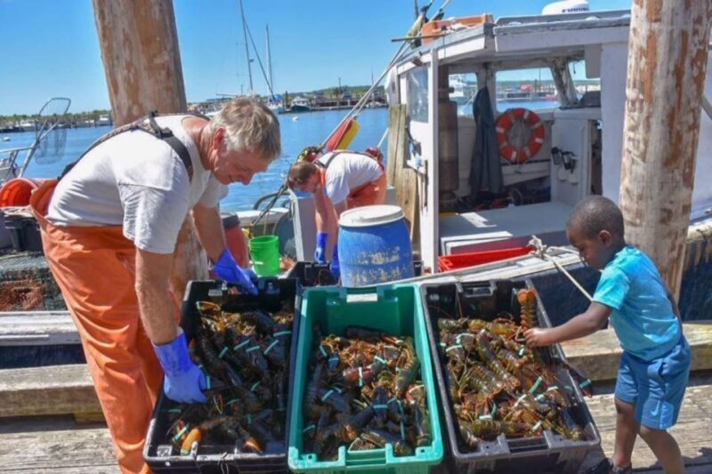 Boston: Kennebunkport Day Trip with Optional Lobster Tour - Detailed Itinerary Breakdown
