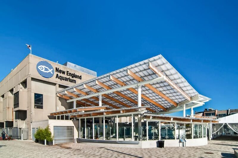Boston: New England Aquarium Entry + Optional Simons Theatre - Penguin and Seal Habitats: Crowd Favorites