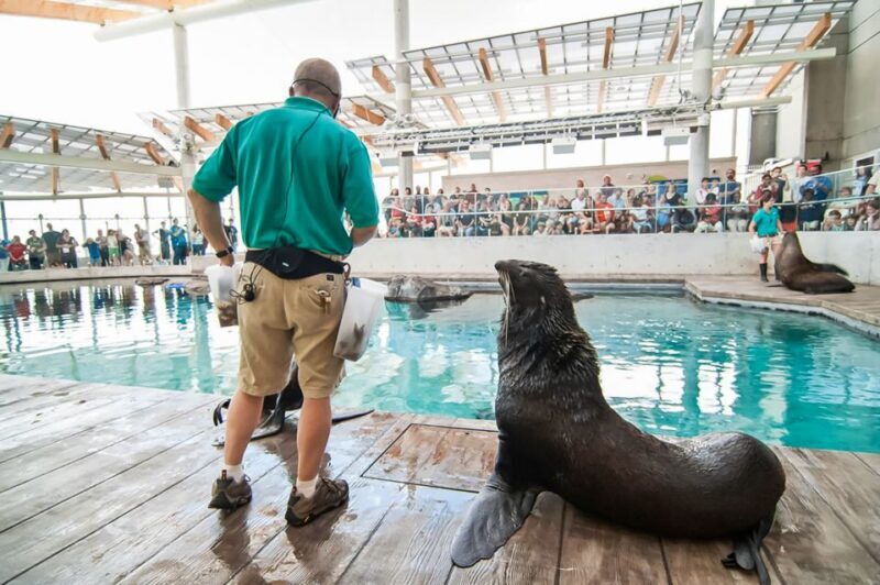 Boston: New England Aquarium Entry + Optional Simons Theatre - Interactive and Educational Exhibits
