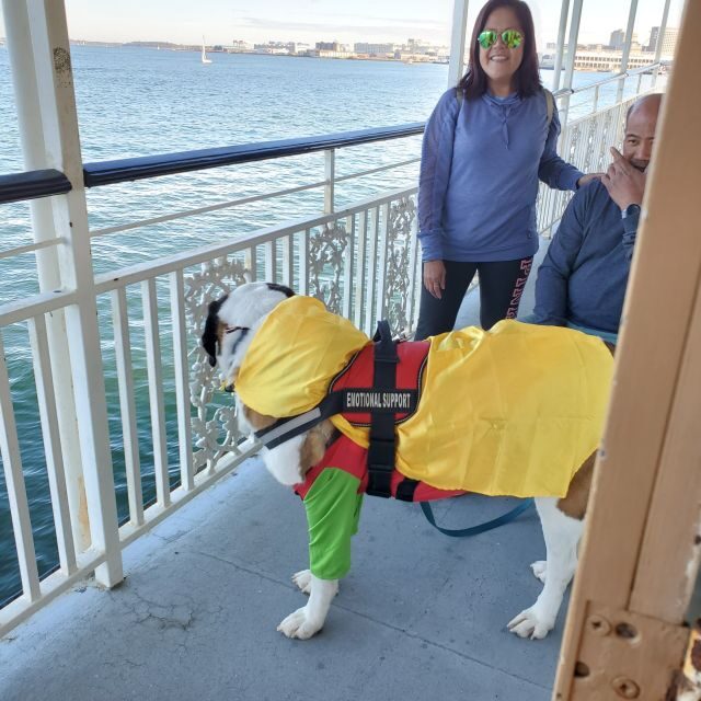 Boston: Scenic Harbor Cruise (Dog-Friendly) - FAQ