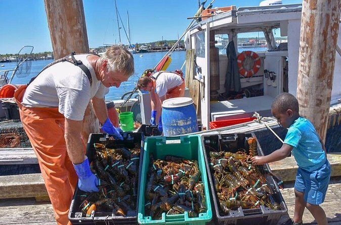 Boston to Kennebunkport with Optional Lobster Tour - FAQ