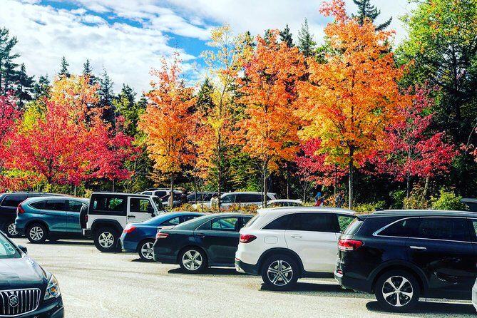 Boston to New Hampshire Fall Foliage White Mountains Day Trip - What Could Be a Drawback?
