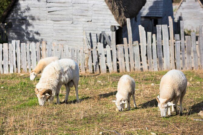 Boston to Plymouth Day-Trip including Quincy, Plimoth Patuxet and Mayflower II - The National Monument to the Forefathers: An Overlooked Gem