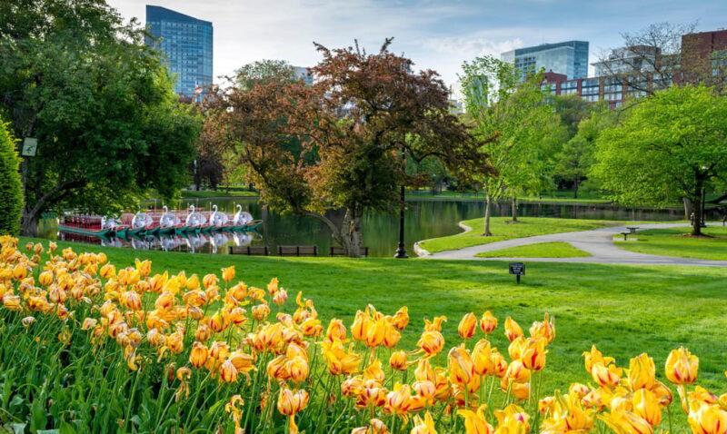 Boston: Votes for Women History Tour of Back Bay - Key Points