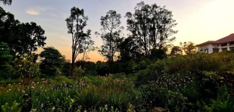 Botanic Gardens & Tiong Bahru Walking Tour with Breakfast - Starting the Day at Singapore’s UNESCO Heritage Site