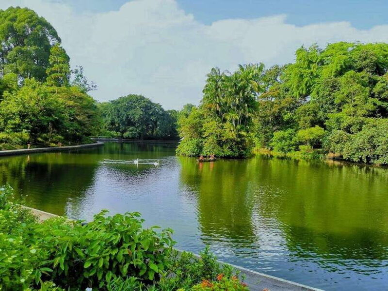 Botanic Gardens & Tiong Bahru Walking Tour with Breakfast - The Buzz of Tiong Bahru