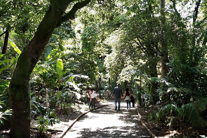 Botanical Garden and Arvi Park Medellín City Tour - FAQs