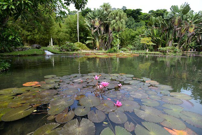 Botanical Garden and Parque Lage Private Tour with a Photographer - Frequently Asked Questions