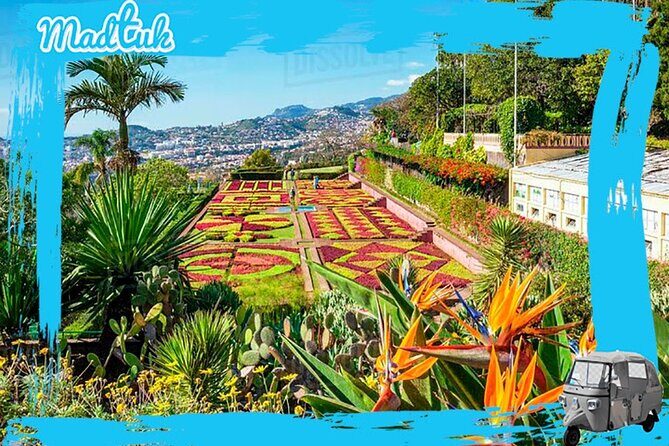 Botanical Gardens + Old Town Tuk-Tuk Private Tour by MadTuk - Madeira Botanical Gardens + Old Town Tuk-Tuk Private Tour by MadTuk