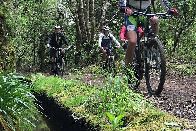 Botanical Trails of Madeira. Mountain biking Trail Experience - A Deep Dive into Madeira’s Mountain Biking Trail Experience