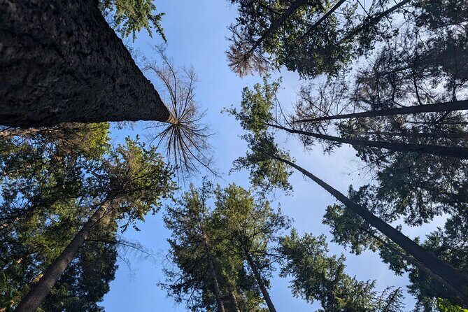 Botany of Witchcraft - A Deep Dive into the Botany of Witchcraft Tour