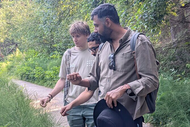 Botany of Witchcraft - Final Thoughts: Who Is This Tour For?