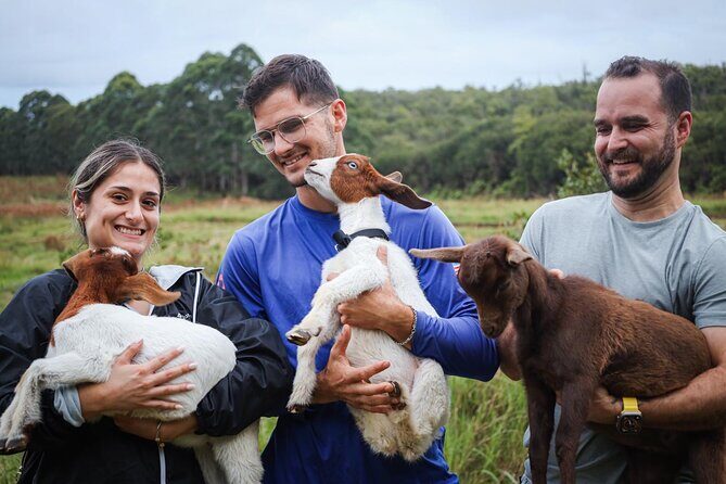 Bottle Feed & Cuddle Baby Goats Tour on Big Island Farm - The Bottom Line: Who Should Consider This Tour?