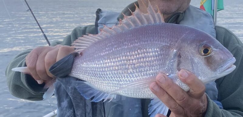 Bottom Fishing Lagos - An In-Depth Look at Bottom Fishing in Lagos