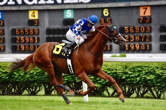 Bourbon & Derby: Makers Mark OR Buffalo trace + Churchill Down - Final Thoughts