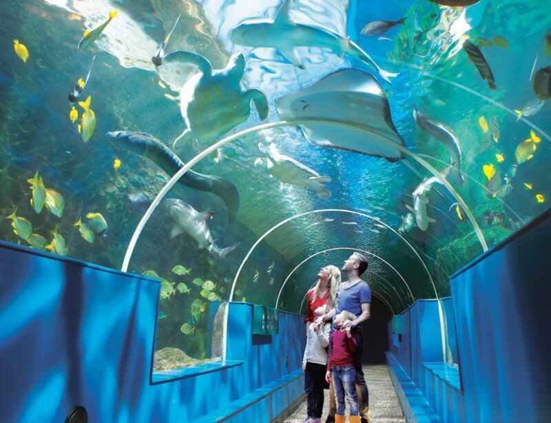 Bournemouth Oceanarium Ticket - Who Will Love This Experience?