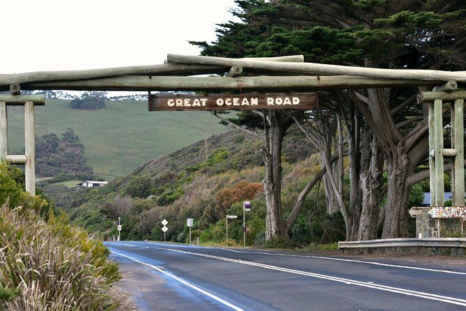 Boutique Great Ocean Road, wildlife and Rainforest Experience - An In-Depth Look at the Tour Experience