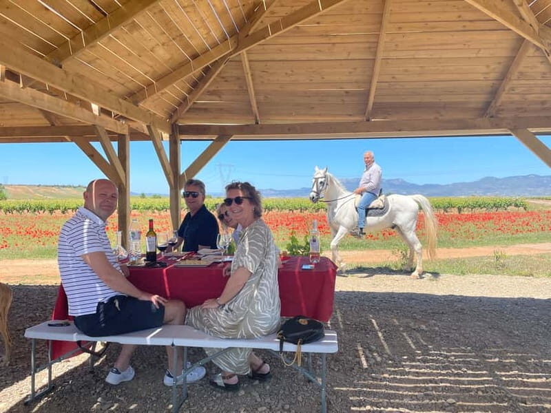 Boutique Rioja Wine Tour with Charming Lunch (From Bilbao) - Practical Details: What You Need to Know
