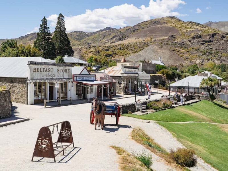 Boutique Winery Half-Day Tour & Vineyard Platter-Style Lunch - Who Would Love This Tour?