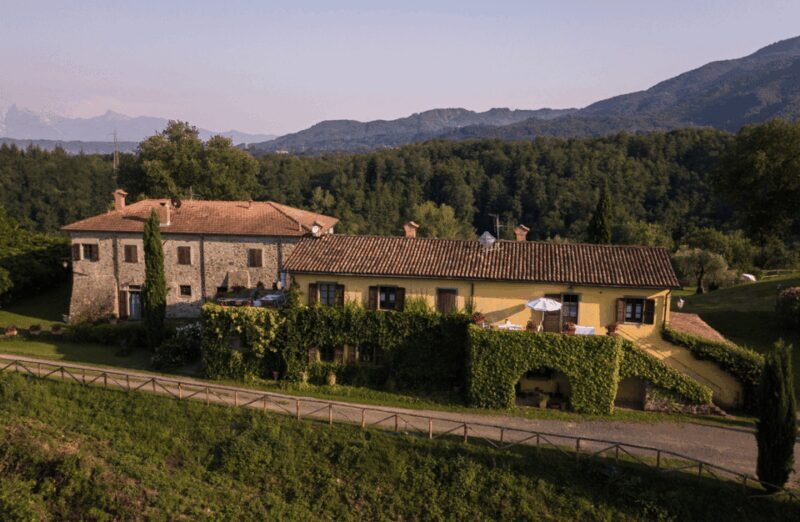 Boutique Winery Tour & Tasting in North Tuscany - Experience a Boutique Winery Tour & Tasting in North Tuscany