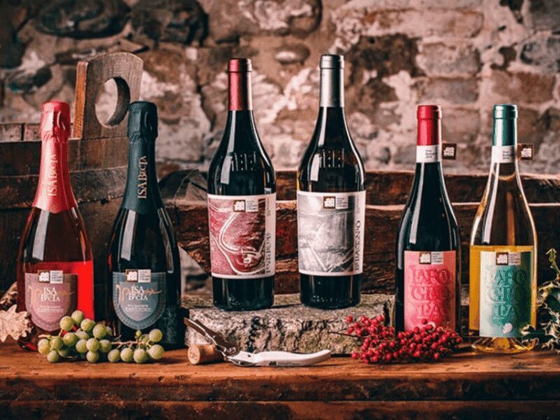 Boutique Winery Visit & 5 Organic Wine Tastings near Urbino - The Location and Setting