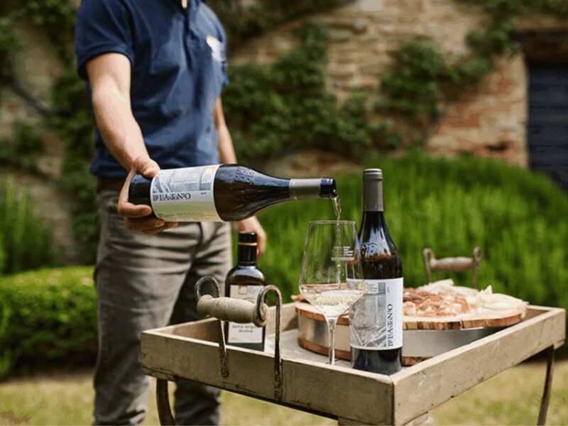 Boutique Winery Visit & 5 Organic Wine Tastings near Urbino - The Guided Tasting