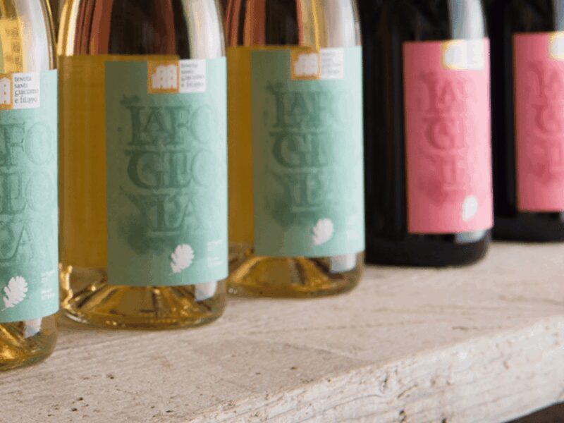 Boutique Winery Visit & 5 Organic Wine Tastings near Urbino - Practical Aspects and Value