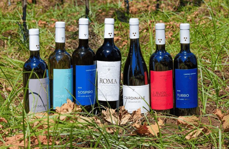 Boutique Winery Visit & Tasting near Rome - FAQ