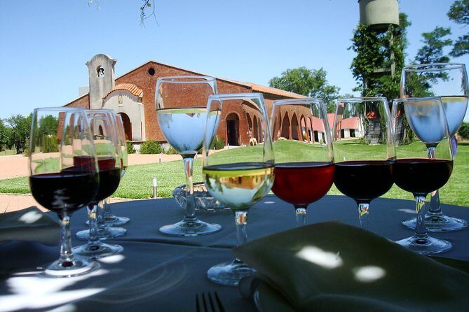 Bouza Winery only Lunch (Esp, Eng, Port) - Practical Details: What You Need to Know