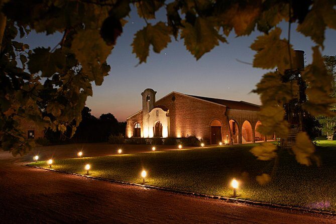 Bouza Winery only Lunch (Esp, Eng, Port) - A Deep Dive into the Bouza Winery Lunch Experience