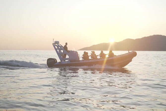 Bowen Island Dinner and Zodiac Boat Tour by Vancouver Water Adventures - The Zodiac Ride: Speed, Scenery, and Wildlife