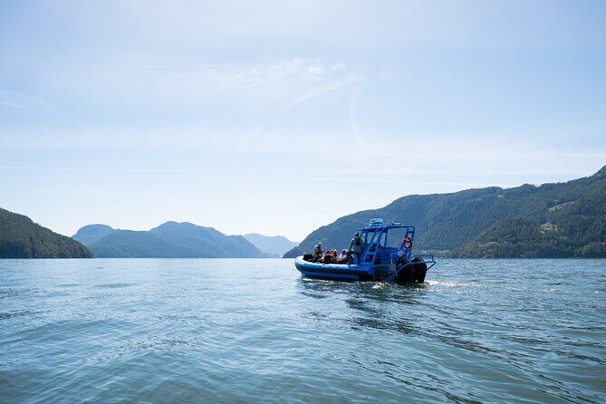 Bowen Island Dinner and Zodiac Boat Tour by Vancouver Water Adventures - Return Journey: Sightseeing and Scenic Cruising