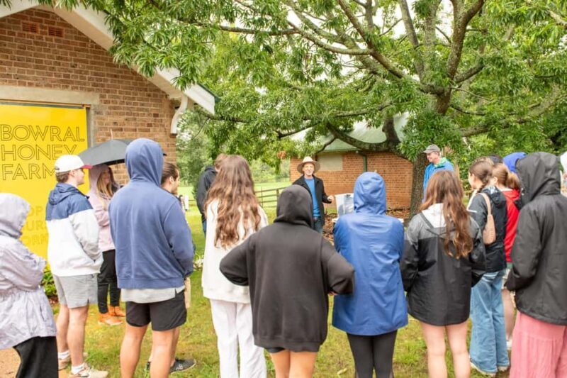 Bowral Honey Farm Tour, Honey Tasting & morning Tea - A Closer Look at What to Expect at Bowral Honey Farm