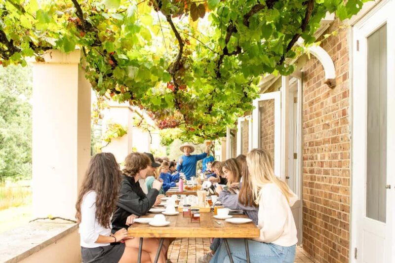 Bowral Honey Farm Tour, Honey Tasting & morning Tea - Who Should Consider Visiting?