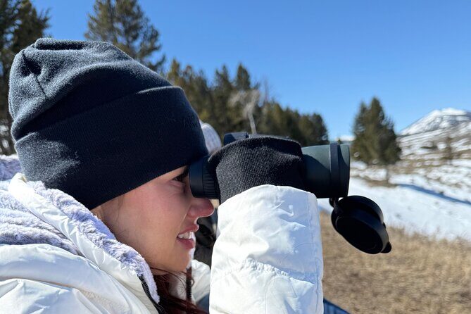 Bozeman Winter Wildlife Safari, Lamar Valley, Burrito and Lunch - FAQ