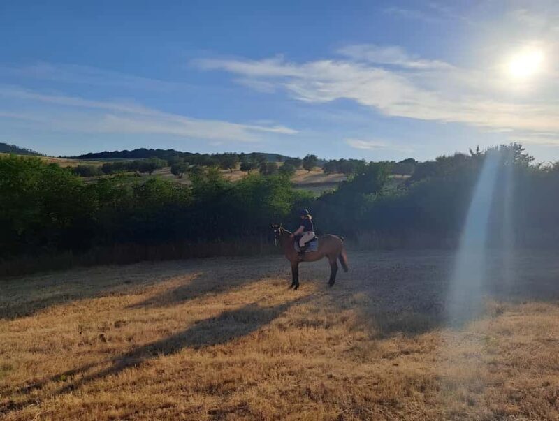 Bracciano: Horseback Ride in the Tolfa Mountains - Key Points