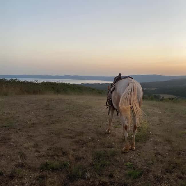 Bracciano: Horseback Ride in the Tolfa Mountains - Practical Details: Meeting Point, Timing, and Booking