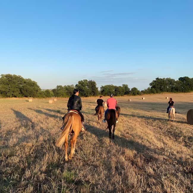 Bracciano: Horseback Ride in the Tolfa Mountains - Why This Ride Is Worth It