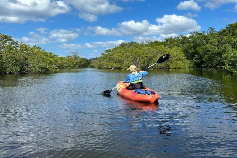 Bradenton: Anna Maria Island Guided Kayaking Manatee Tour - Who Will Love This Tour?