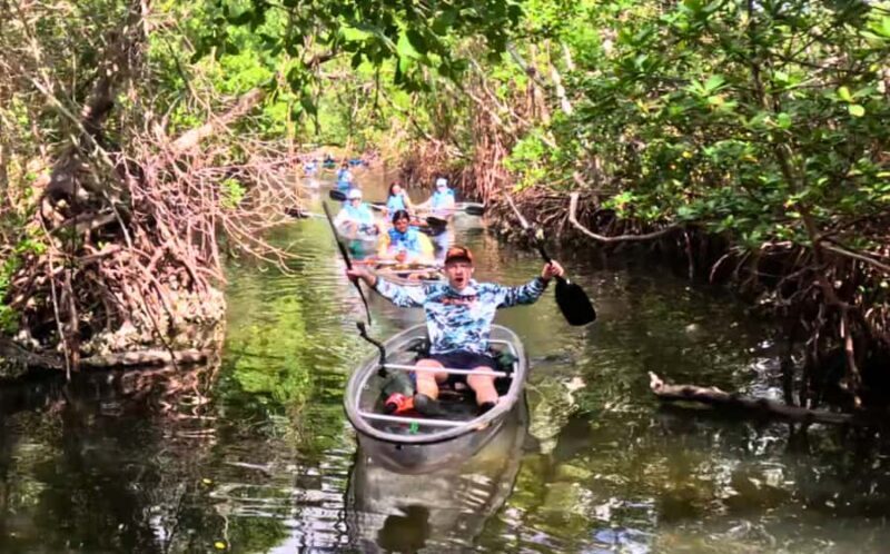 Bradenton: Clear Kayak Mangrove Tunnel Eco Tour - FAQs